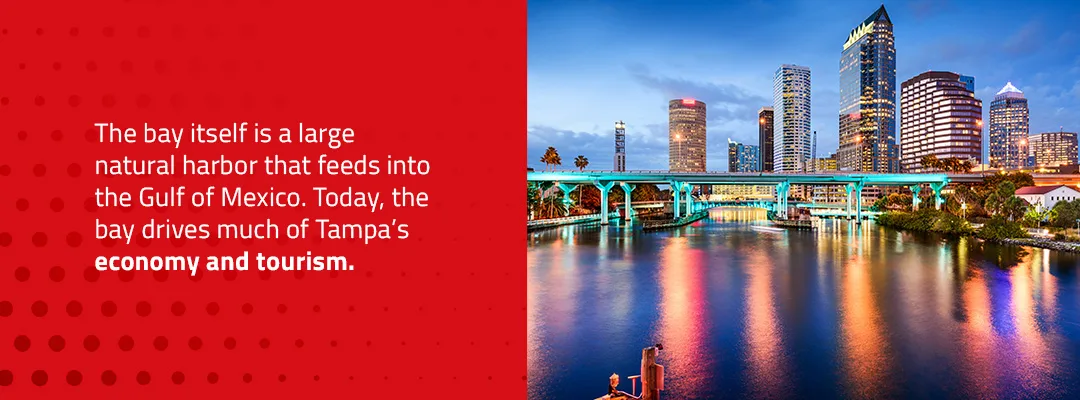 Tampa Bay Buccaneers – Our Game Plan for a Day at the Raymond James Stadium  – Dolphin Bay Vacation Rental